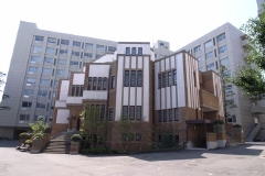 R0019154.jpg